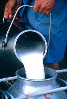 Δεν θα αγοράζουν το γάλα των κτηνοτρόφων αν ξεκινήσει το έργο των Χρυσωρυχείων στη Ροδόπη