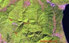 Διαδραστικός χάρτης των δασών που εξαφανίζονται