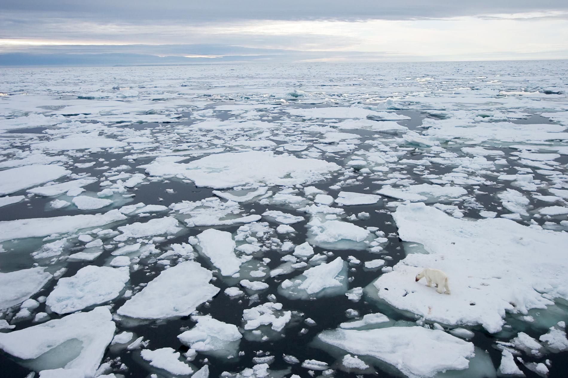 “Επιχειρηματικές ευκαιρίες”, πετρέλαιο και μέταλλα βλέπουν οι ΗΠΑ πίσω από το λιώσιμο των πάγων της Αρκτικής #skouries