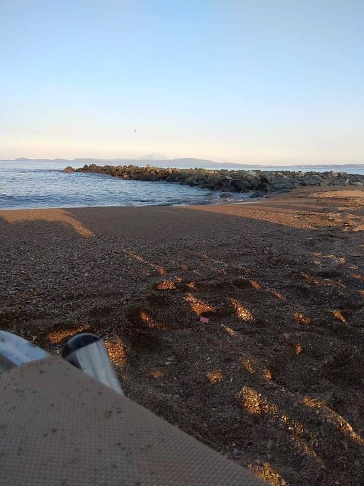 Νέα φωτογραφία με πυρίτες στην “τουριστική” παραλία του Στρατωνίου #stratoni #skouries